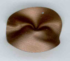 1740-14.jpg